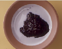 A virtual blueberry porridge